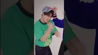 بیاین منحرف نباشیم tiktok stray kids