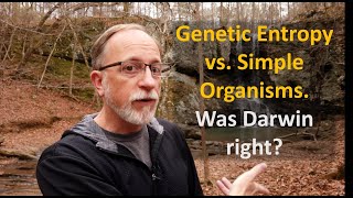 Genetic Entropy vs Simple Organisms. Was Darwin right?