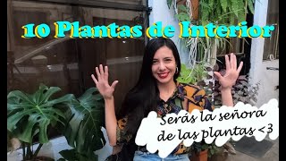 Las 10 plantas de interior más fáciles de cuidar| Características y cuidados