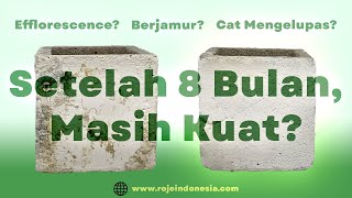 Setelah 8 Bulan, Masih Kuat Nggak Ya?