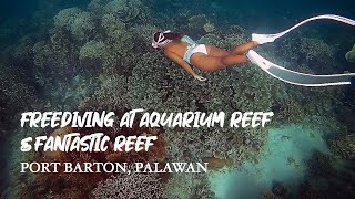 Freediving: Port Barton / Aquarium Reef & Fantastic Reef