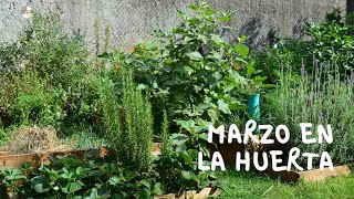 MARZO en la HUERTA | Qué podemos sembrar y hacer para la nueva temporada del hemisferio SUR! 🌱