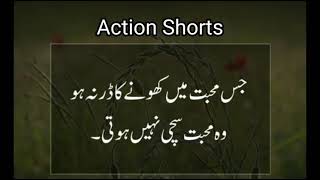 Best Aqwal e Zarian_Best Quotes in urdu_women quotes man quotes