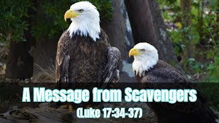 How do the gathering of eagles show us a sign? (Luke 17:34-37)