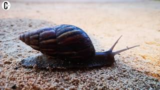 Mauritius: 5 Naturerlebnisse auf der Insel