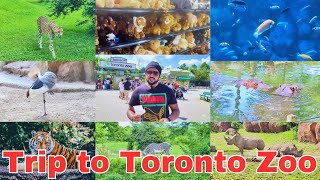 Toronto Zoo | Summer | Complete Walkthrough Tour | Ontario, Summer 2023