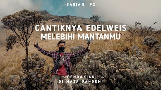 Pendakian gunung sumbing 3371mdpl | via butuh kaliangkrik