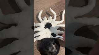 Making a tarantula of of clay Part 2 #painting #clay #spider #tarantula #halloween #shorts