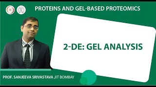 2-DE: Gel analysis