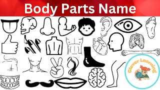 Body parts name and picture in English