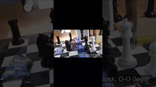 Chess but ohio