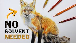 Color Pencil FOX Drawing Using NO SOLVENT!!