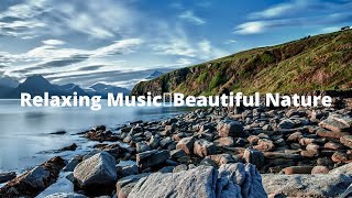 3 Hours Relaxing  Music 🎵 Healing Music, Stress Relief Music, Morning Meditation Music