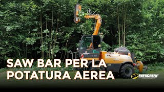 ILF S 1500 al lavoro con la barra a dischi SAW BAR per il taglio forestale | Potatura aerea