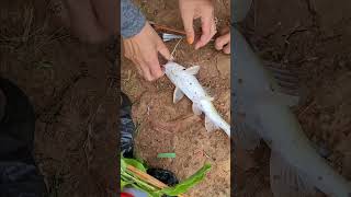 WOOW!!!Fisherman Cast Net Fishing Real Life Amazing Fishing At Countryside.(Episode 133)