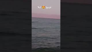 بحر نويبع ليلا 🤩