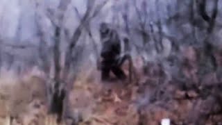 The Provo Canyon Rock Thrower Footage COMPLETE Sasquatch, Bigfoot throws rock, Utah