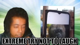 Drhemotoxin reacts to Extreme Try not to laugh challenge #1