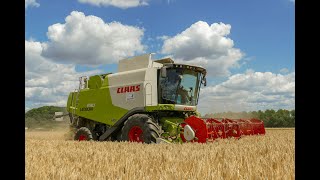 Gerst dorsen met een claas lexion 630 / Loonwerken Huybrechts