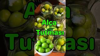 Qış hazırlığı - Xırçıldayan Alça Tutması | Alça Turşusu | Pickled Greengage for Winter