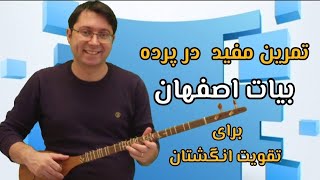 تمرین مفید در پرده اصفهان برای تقویت انگشتان