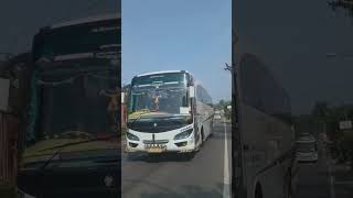 bus maju lancar gajah putih🐍🐍 #cctvlumbir #busmajulancar #gajahputih#jalurselatan #busmania