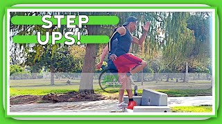 DYNAMIC CALISTHENICS:  Step Ups!