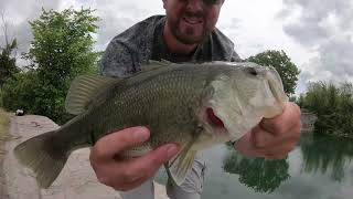 Bass Fishing With YouTuber @514fishing_official  #bassfishing #fishing #largemouthbass