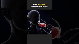 Did you know How Alcohol damage to your body #alchollover #healthfacts #viralvideo