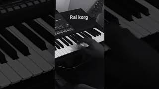 korg rai #korg #rai