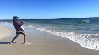 I Hooked On To The BIGGEST Fish Since Travelling Australia!