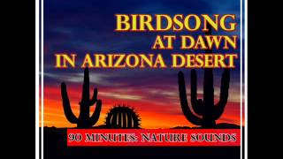 Arizona Birdsong