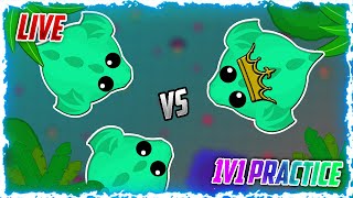 🔴 Mope.io Livestream - 1v1 PRACTICING WITH FANS | Streaming Is Back!?