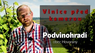 VINICE PŘED KAMEROU - trať PODVINOHRADÍ, obec Hovorany