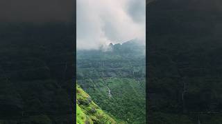 Malshej ghat #monsoon #travel #jannateinkahan #trending #viralsong