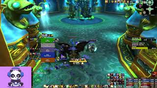 +20 Throne of the Tides Fortified | M+ 10.2 Disc Priest POV