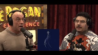 The Alien look like Creature Spotted at 15,000 feet - Joe Rogan & That Mexican OT