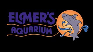 Elmer's Aquarium Pet Center - 50 Years Of Awesome!