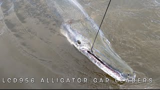 ALLIGATOR GAR FISHING 5K