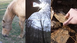 Of Horsies, the Sun, and Under Rocks (ASMR)