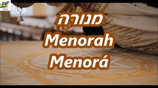 Menorah - Menorá - Haim Israel