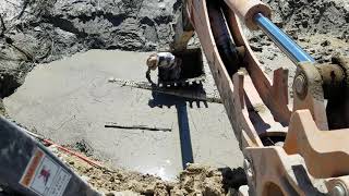 Crawdad hunting from a backhoe.