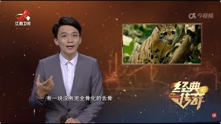 《经典传奇》 秘境心慌慌·恐怖哀牢山大揭密 20241028