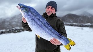 Cooking a Giant Salmon Covered in Salt on Fire! Wild Recipe for Tender Fish Meat