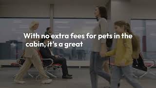 Top Airlines for Pet Travel: Fly with Your Furry Friends!