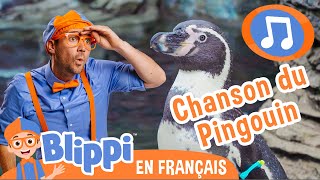 La chanson du pingouin | 🎵Blippi en Français -  Chansons pour enfants