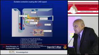 M Yacoub - Mechanisms and implications of myocardial recovery in LVAD patients