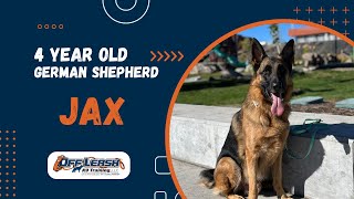 German Shepherd, 4 y/o, “Jax” | Amazing German Shepherd Training Spokane WA | Off Leash K9