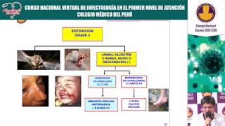 Módulo II - clase 11: Manejo de Mordeduras de Animales Domésticos - Dr. Vladimir García Cortez