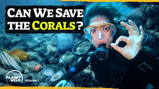 We cleaned up the ocean floor to save corals